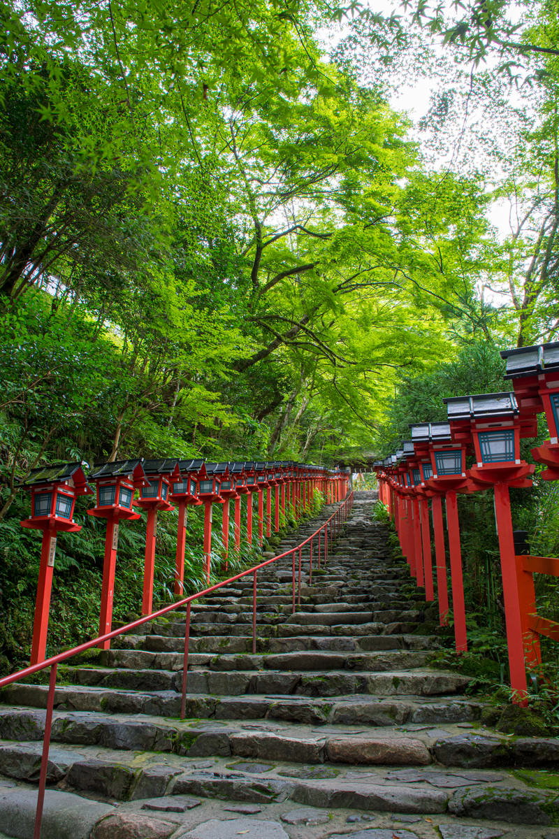 雨上がりの早朝の貴船神社入り口、朱色の春日灯篭が並ぶ石段と新緑