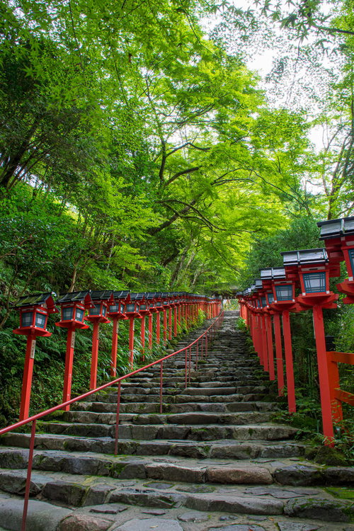 雨上がりの早朝の貴船神社入り口の石段（京都）