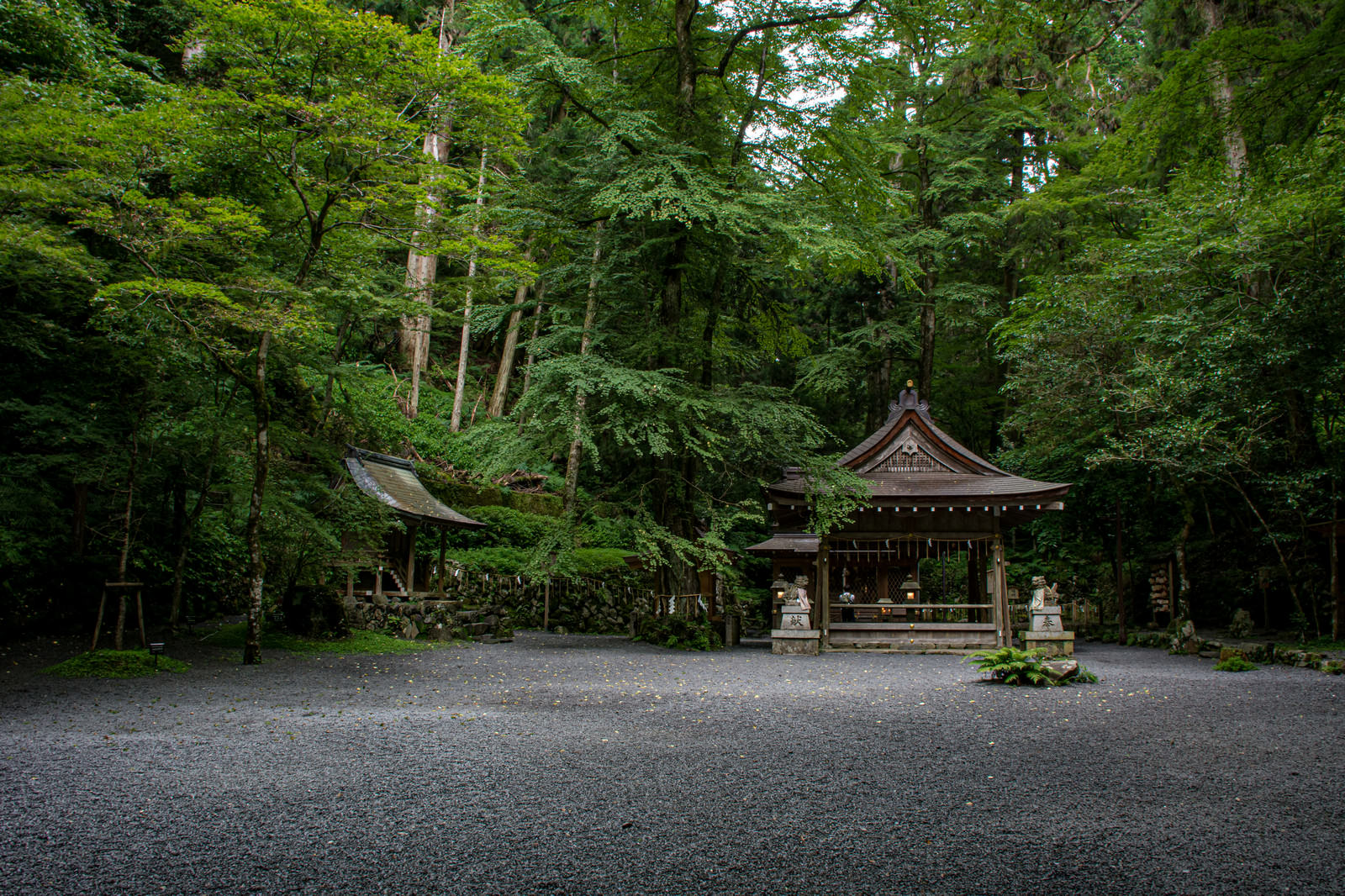 深い緑に囲まれた貴船神社奥宮の境内、早朝の静寂な雰囲気