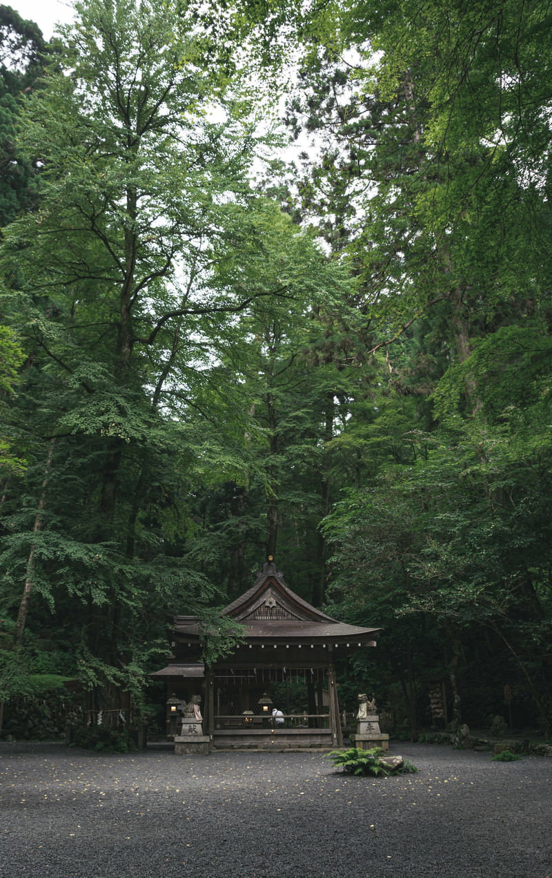 深い緑の木々に囲まれた貴船神社奥宮の境内風景