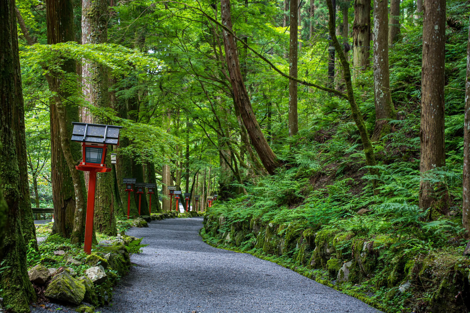 緑豊かな森に囲まれた貴船神社の石畳の参道と朱色の鳥居