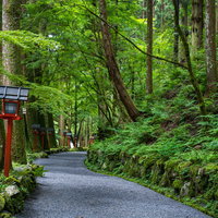 奥宮から本宮に向かう参道（京都）の写真