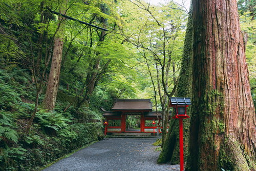 貴船神社奥宮入り口の門（京都）