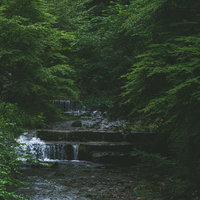 涼しげな貴船川の流れ（京都）の写真