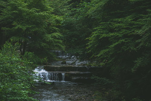 涼しげな貴船川の流れ（京都）