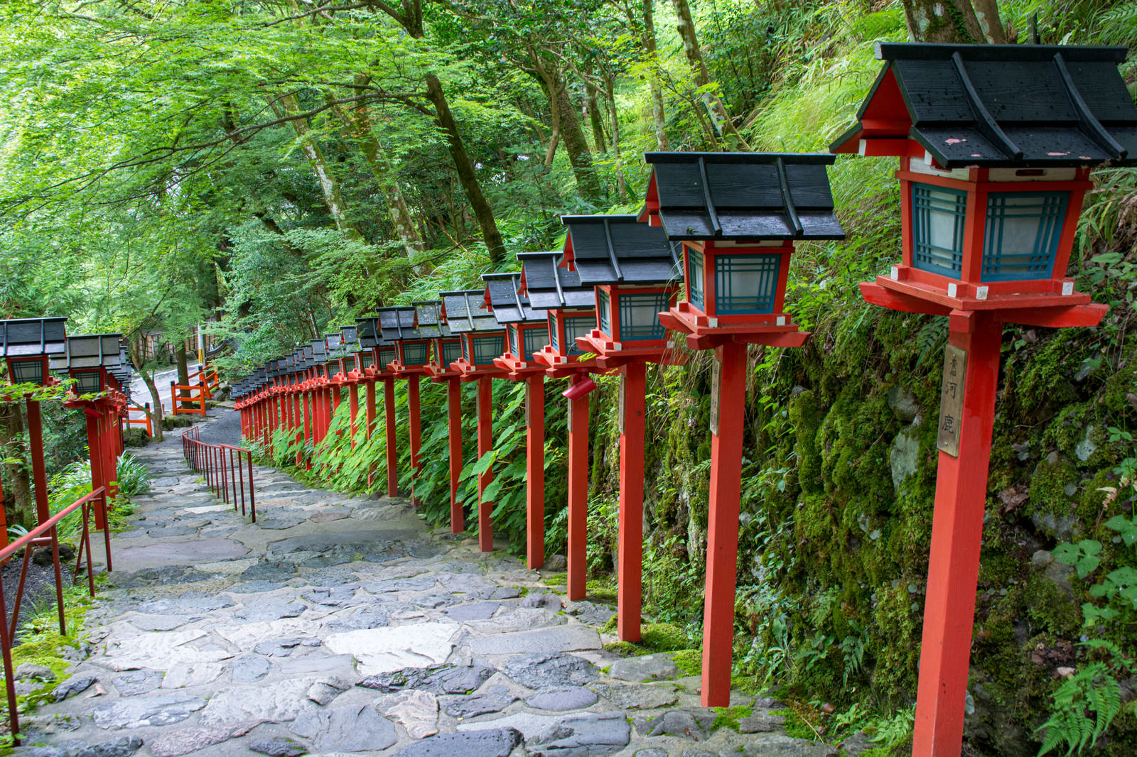 貴船神社の参道に並ぶ赤い灯篭と緑の木々