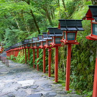 貴船神社の綺麗に並んだ美しい赤い灯篭（京都）の写真