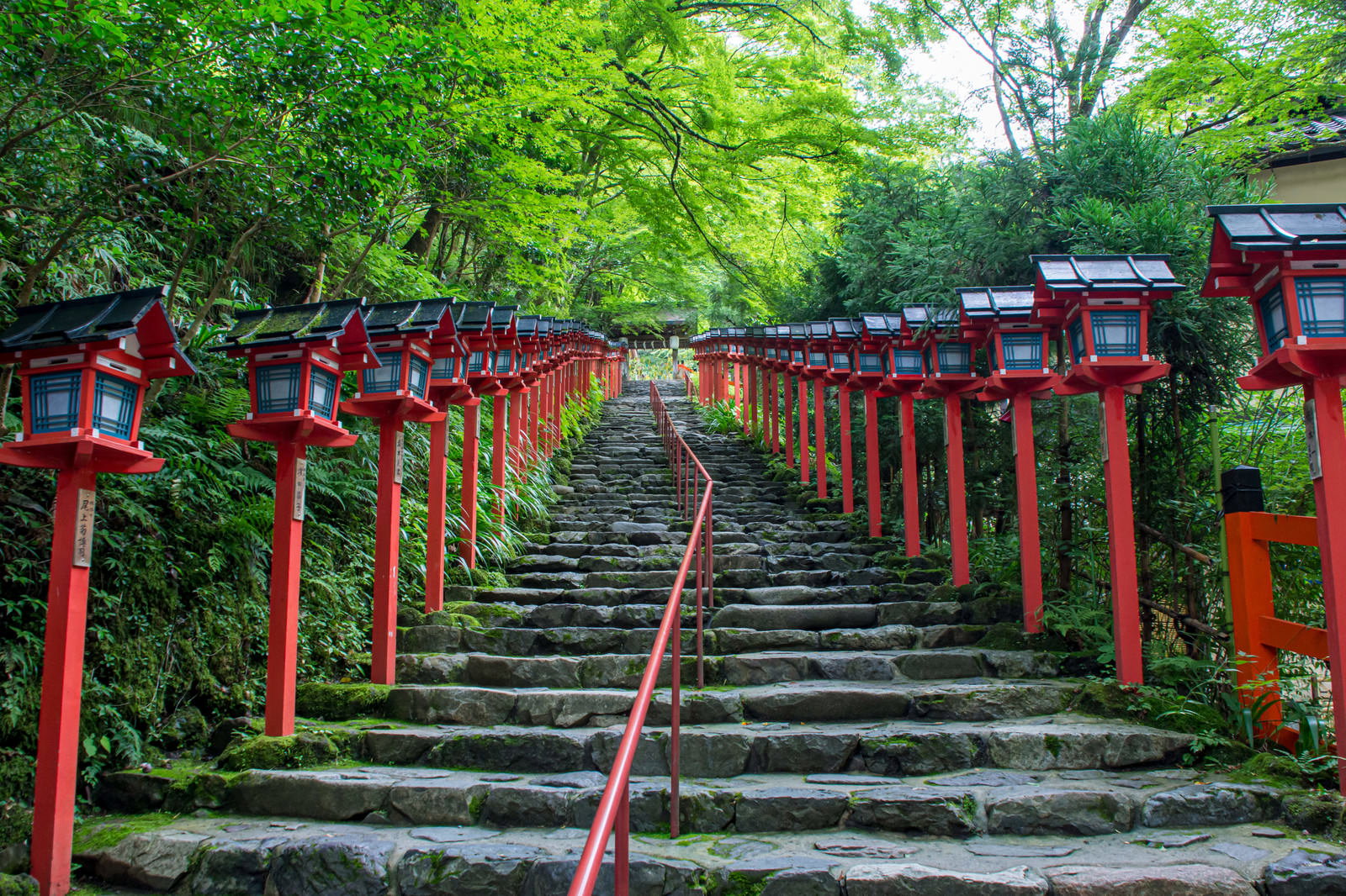 京都の貴船神社で朱色の灯篭が並ぶ石段を緑豊かな木々が囲む風景