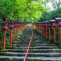 淡い緑と朱色の美しいコントラストが見られる貴船神社の石段（京都）の写真