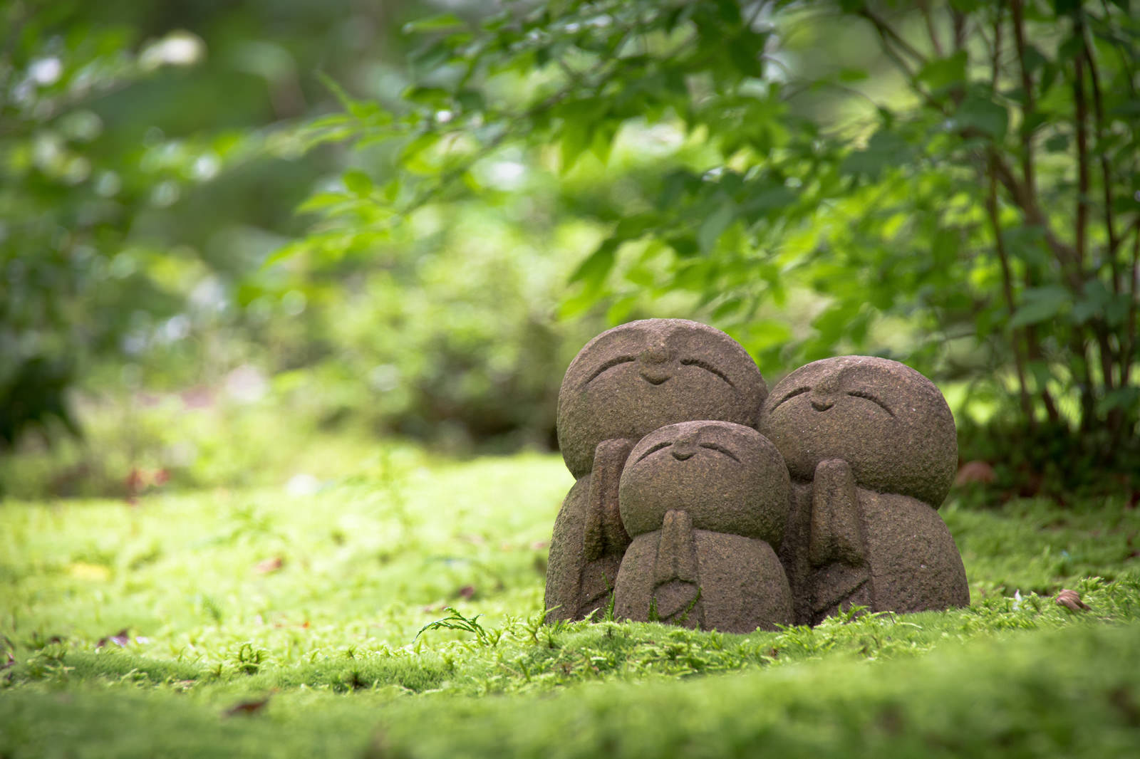 緑の苔の上に並んで座る小さなお地蔵様の石像
