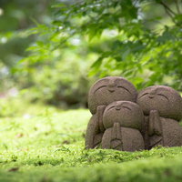 深い苔の絨毯の上でほほえむ詩仙堂の小さなお地蔵様の写真