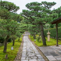 圓光寺山門から見える石畳の道（京都）の写真