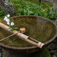 季節の花が飾られた水琴窟（すいきんくつ）の写真