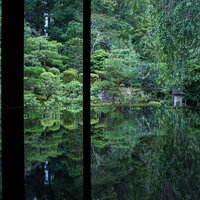 お庭のリフレクションを楽しむの写真