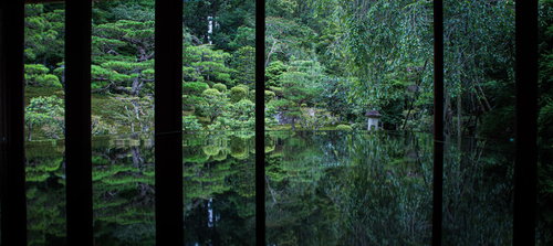 お庭のリフレクションを楽しむ