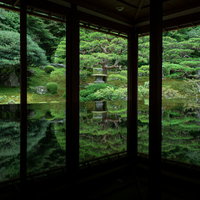 見事なお庭のリフレクションの写真