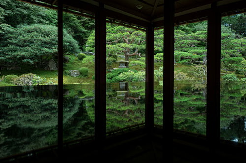 見事なお庭のリフレクション