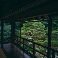 二階座敷から緑美しいお庭を見下ろすの写真
