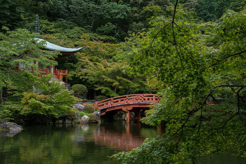 青紅葉の向こうに見える朱塗りの橋が水面に姿を落とす（醍醐寺）