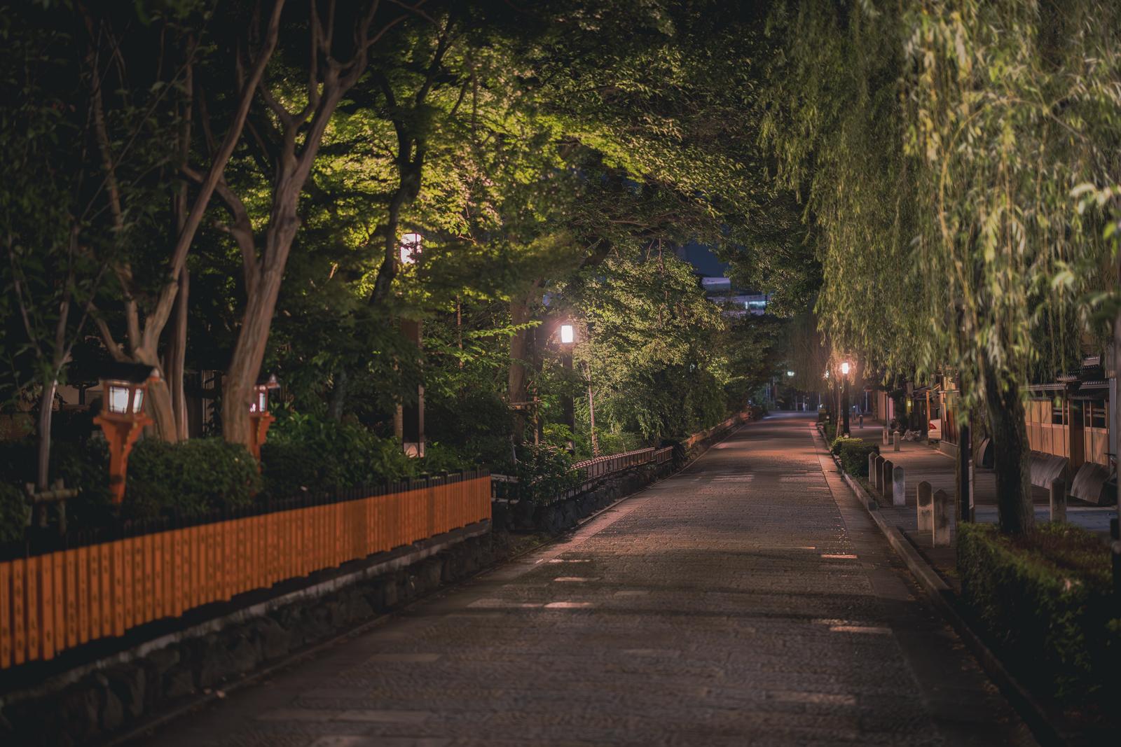 京都祇園白川の夜間。柳の木と街灯に照らされた古い建物が立ち並ぶ石畳の通り