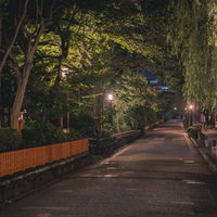 京都祇園白川の夜道を照らす街灯と柳の散歩道の写真