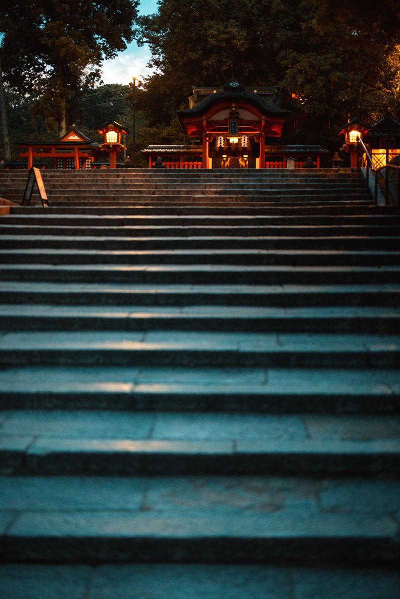 夜間にライトアップされた伏見稲荷大社の朱色の社殿と石段