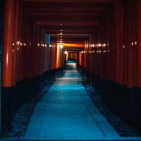 朱色の千本鳥居のトンネルが続く伏見稲荷の参道の写真