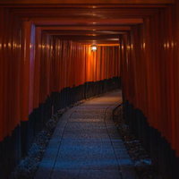 深夜の伏見稲荷大社の千本鳥居と参道の風景の写真