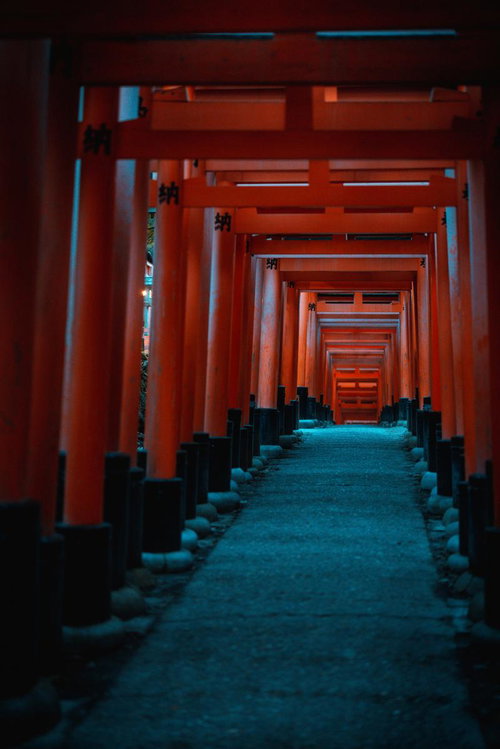 朱塗りの鳥居が連なるトンネル状の参道を歩む景色