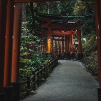 伏見稲荷大社の夜間参道、朱色の千本鳥居が連なるの写真