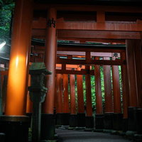 夜間にライトアップされた伏見稲荷大社の千本鳥居の写真