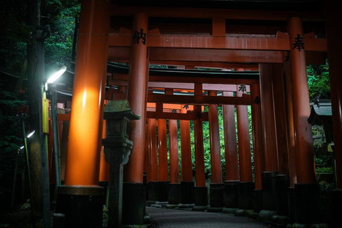 夜間にライトアップされた伏見稲荷大社の千本鳥居