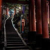 夜間照明に浮かぶ伏見稲荷大社の千本鳥居と石段の写真
