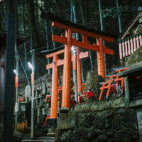 伏見稲荷大社の朱色の鳥居道を参詣する観光客の写真