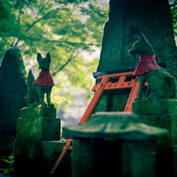 伏見稲荷大社の苔むした境内で赤い鳥居と狐像の写真