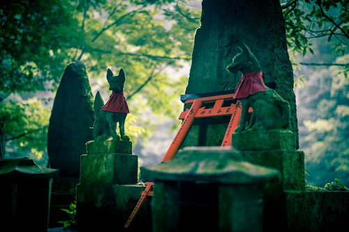 伏見稲荷大社の苔むした境内で赤い鳥居と狐像