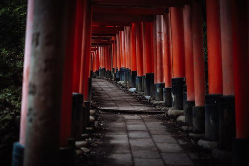 伏見稲荷大社の千本鳥居が続く参道をくぐる