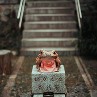 末廣大神の参道に置かれた福かえる賽銭箱と石段の風景の写真