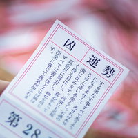 おみくじで引いた運勢「凶」の結果を手に持つ場面の写真