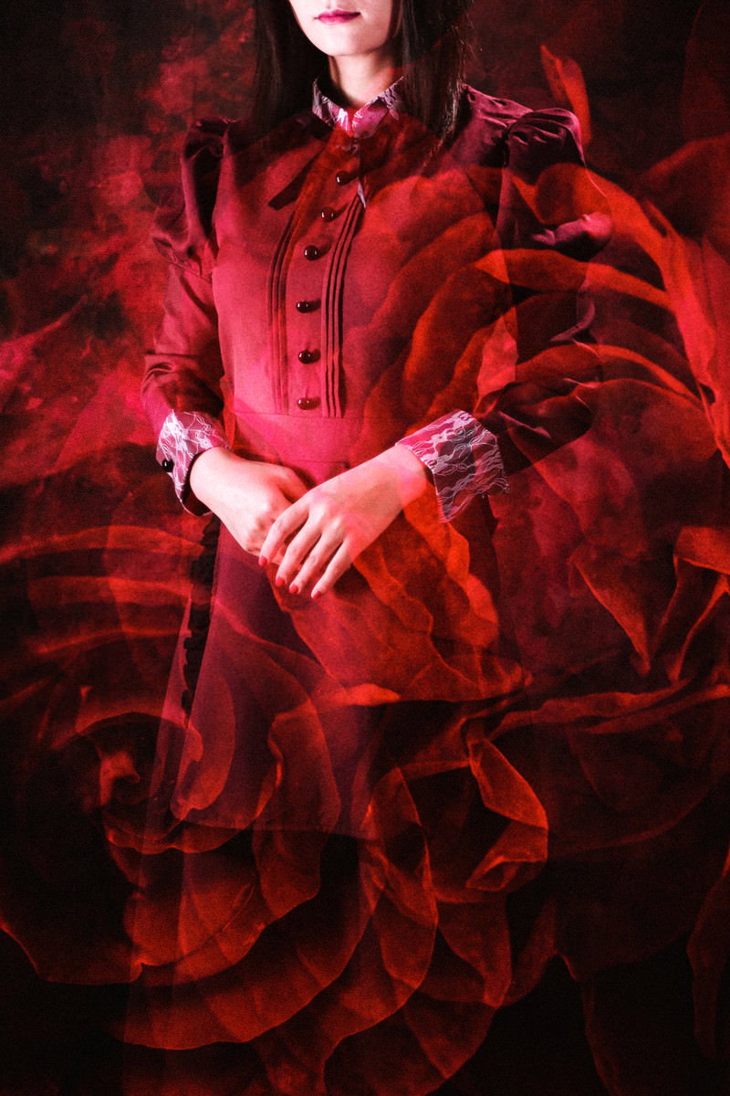 赤い薔薇に手を添える女性のフォトモンタージュ作品