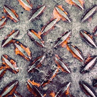 リブ周辺の塗装が剥げる縞鋼板のテクスチャーの写真