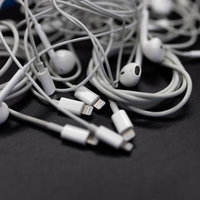 Lightningコネクタ搭載のEarPodsと複数本のケーブルの写真