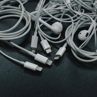 ライトニングコネクターのEarPodsとUSB-Cケーブルが絡まった状態の写真