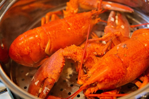 ロブスター2匹を蒸し器でボイル調理中の湯気が立ち上る調理風景