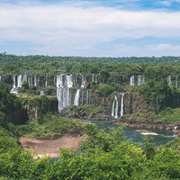 森の中に現れた世界最大のイグアスの滝、複数の白い水流が流れ落ちる雄大な景観の写真