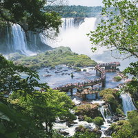 木々の隙間から見たイグアスの滝の水上遊歩道の写真