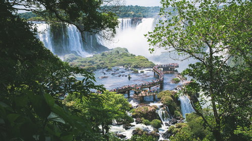 木々の隙間から見たイグアスの滝の水上遊歩道