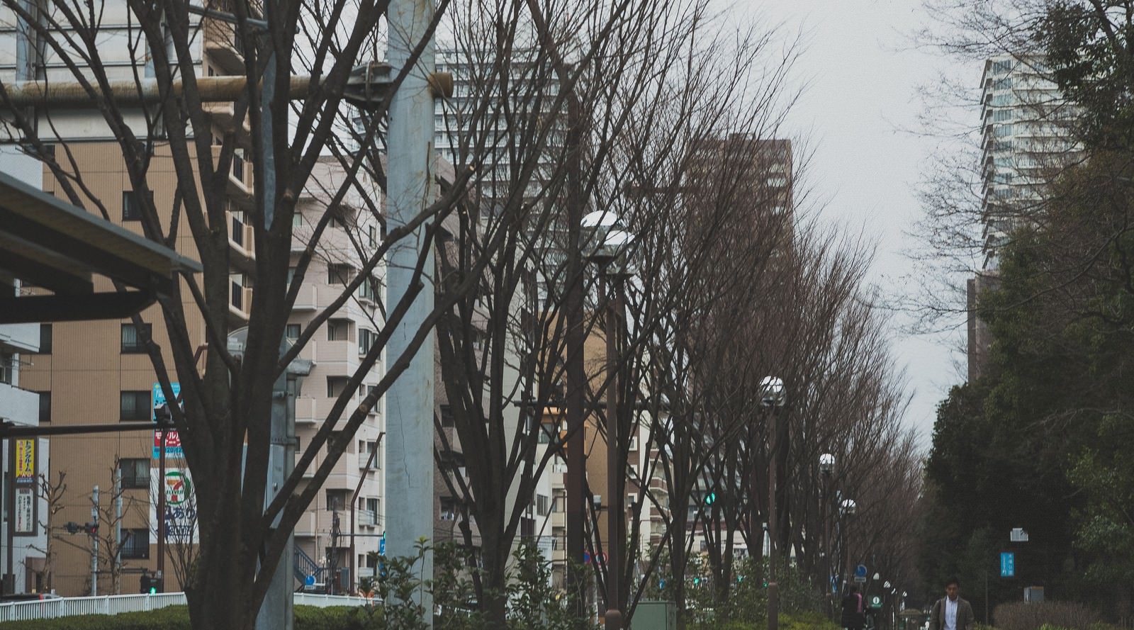 落葉した街路樹が立ち並ぶ冬の都市通り。左右に枝だけの樹木があり、奥に建物が見える