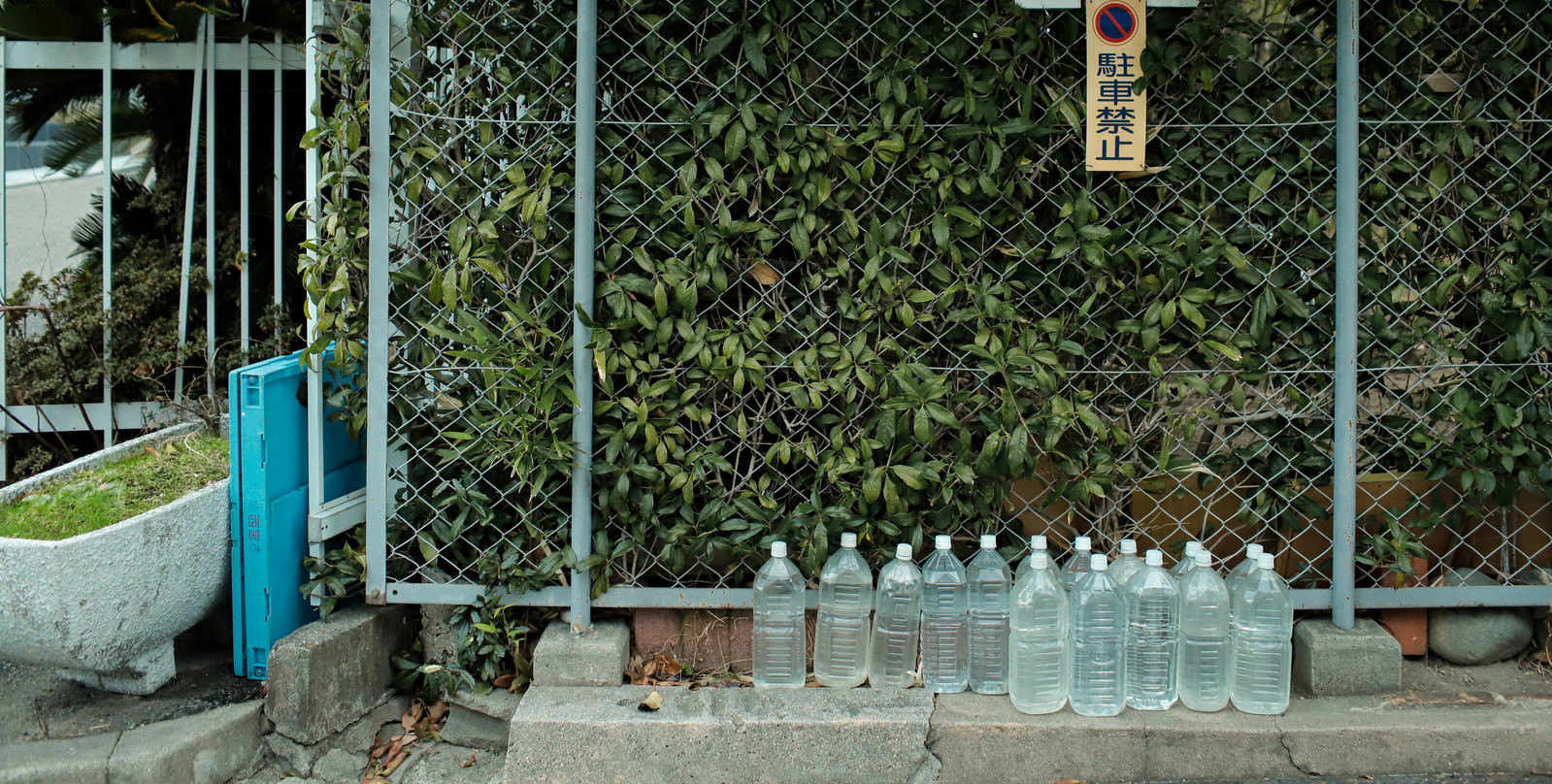 緑のフェンス前に水を入れた透明なペットボトルが一列に並んでいる
