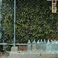 フェンス前に規則正しく並んだ水の入った猫除けペットボトルの写真